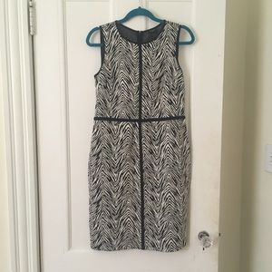 Anne Taylor Zebra-print block dress
